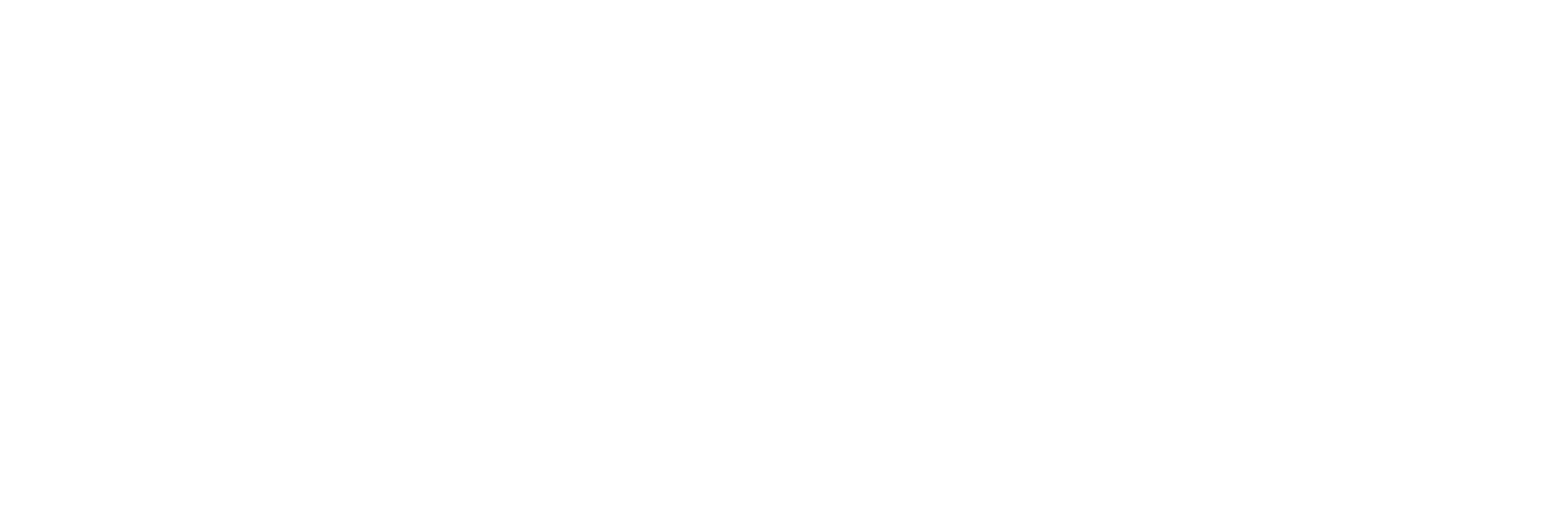 Wallboxon white Logo